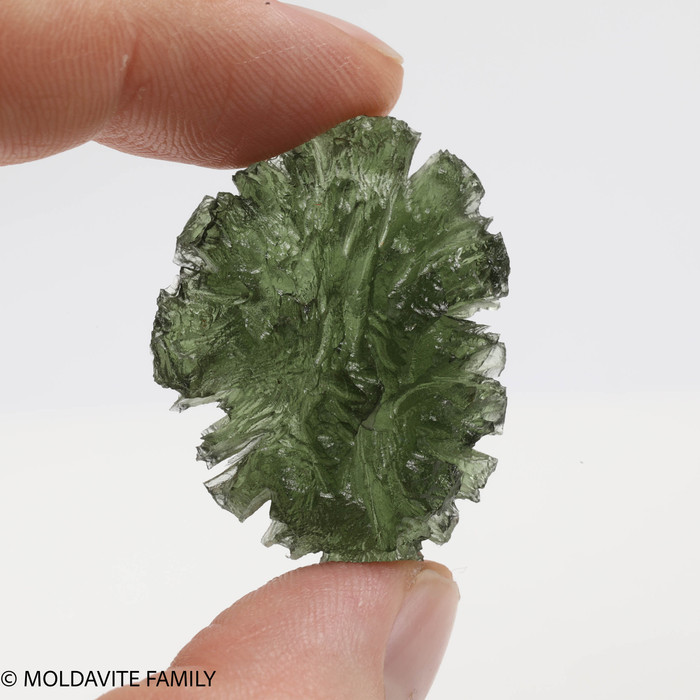 BESEDNICE MOLDAVITE 9.24 GRAMS - COLLECTIBLE (MBAAA013)
