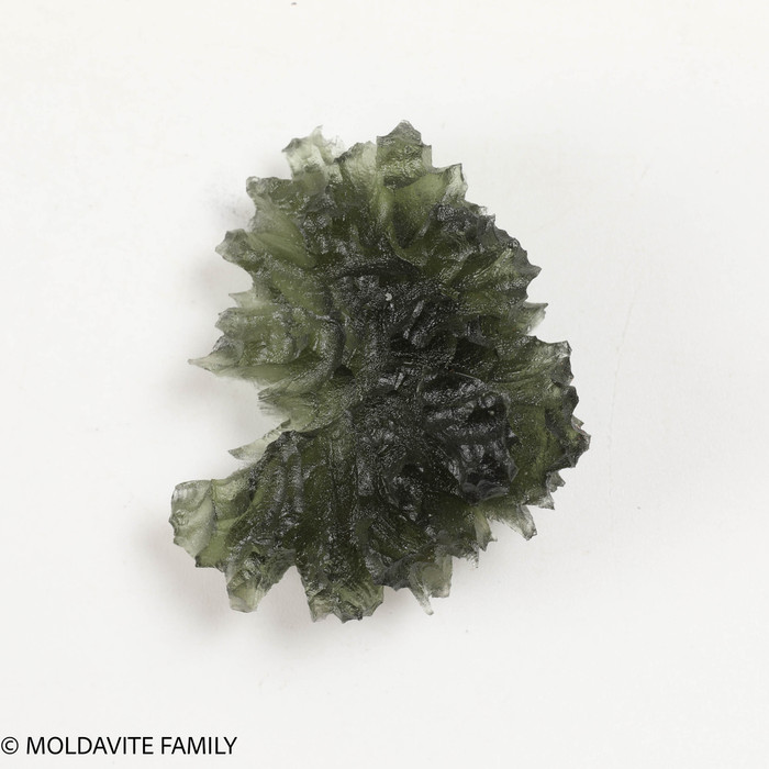 BESEDNICE MOLDAVITE 9.67 GRAMS - COLLECTIBLE (MBAAA014)