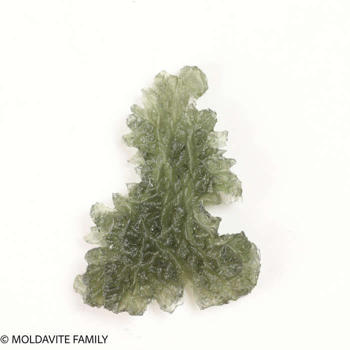 BESEDNICE MOLDAVITE 6.63 GRAMS - COLLECTIBLE (MBAAA018)