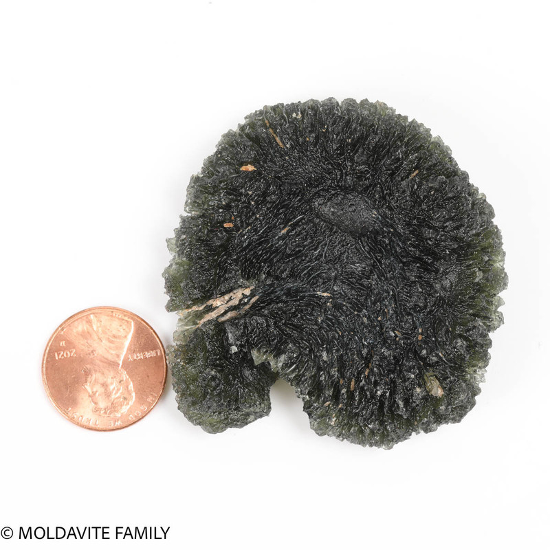 Moldavite 42.9 grams - Special piece (MA22007)