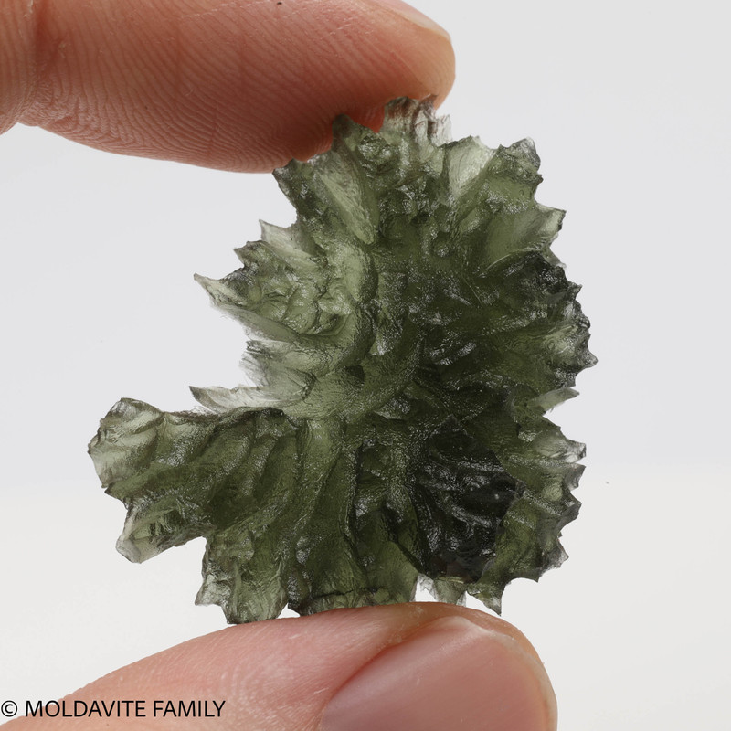 BESEDNICE MOLDAVITE 9.67 GRAMS - COLLECTIBLE (MBAAA014)