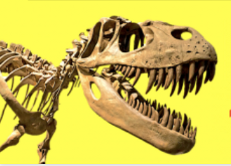 Denver Gem Show 2024