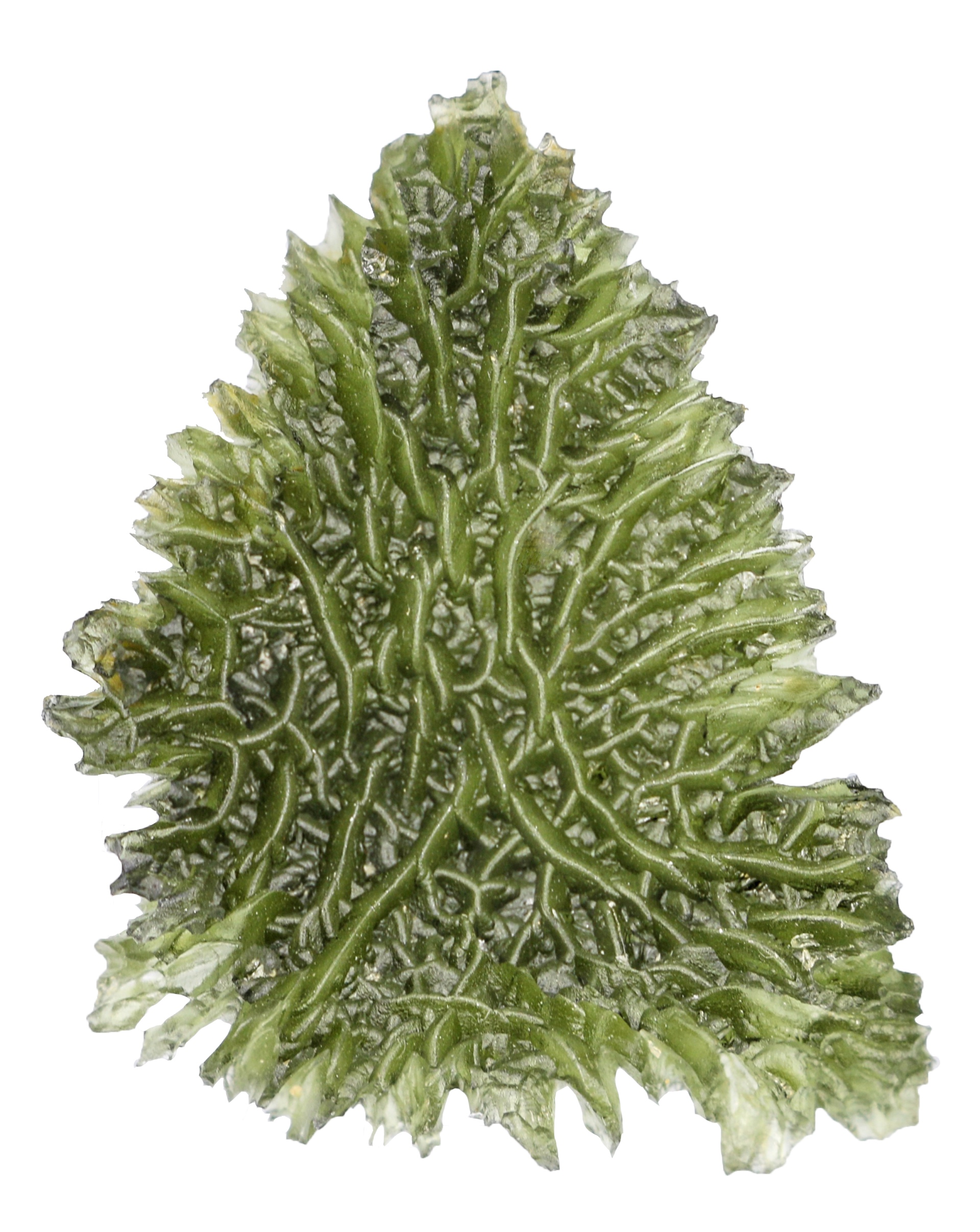 Shipping on Holidays