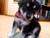 www.flickr.com/photo.gne?id=50574277