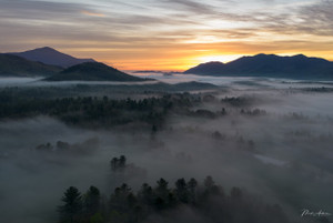 Mark Anderson Photography - Framed Prints