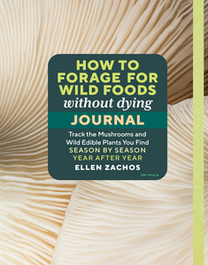 How to Forage for Wild Foods without Dying Journal How to Forage for Wild Foods without Dying Journal