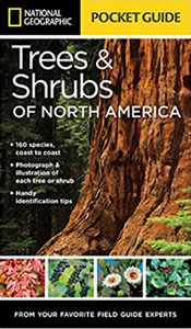 Trees & Shrubs Of North America Trees & Shrubs Of North America