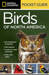 Birds Of North America Birds Of North America