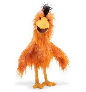 Silly Bird Silly Bird