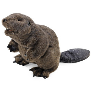 Beaver Beaver