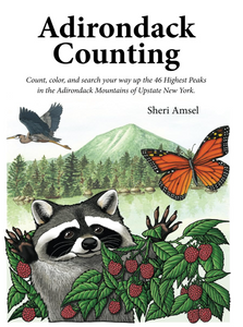 Adirondack Counting