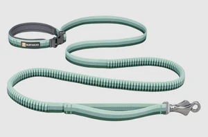 Roamer Bungee Dog Leash