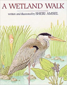 A Wetland Walk