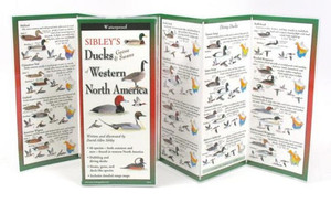 Sibley's Ducks, Geese & Swans Of Eastern North America Sibley's Ducks, Geese & Swans Of Eastern North America