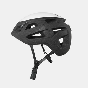 Wall Rider 2.0 Helmet