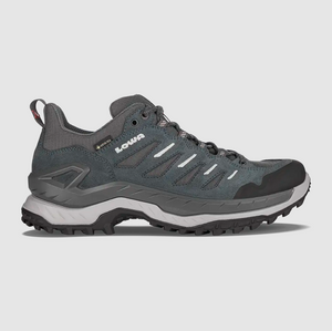Men's Innovo GTX Lo