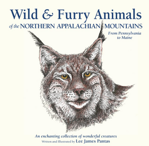 Wild & Furry Animals Of The Northern Appalachian Mountains