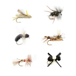 Terrestrial Selection