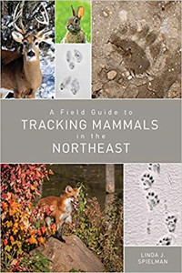 A Field Guide To Tracking Mammals In The Northeast  A Field Guide To Tracking Mammals In The Northeast