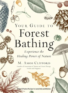 Your Guide To Forest Bathing