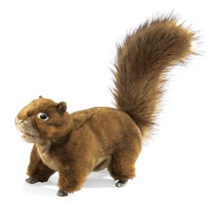 Red Squirrel