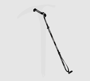 Long Leash Evo