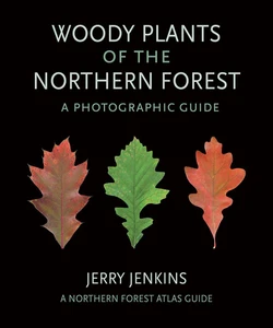 Woody Plants Of The Northern Forest