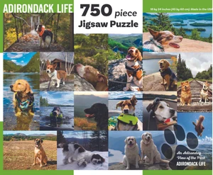An Adirondog View of the Park Puzzle