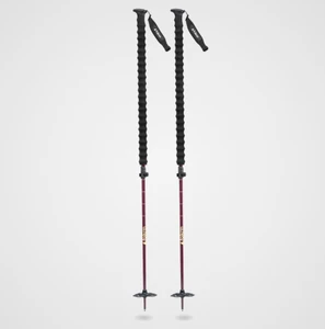 Pahto Ski Poles