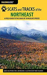 Scats And Tracks Of The Northeast