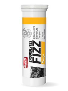 Endurolytes Fizz Endurolytes Fizz