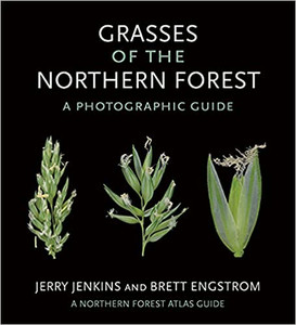 Grasses Of The Northern Forest: A Photographic Guide Grasses Of The Northern Forest: A Photographic Guide