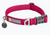 Front Range Dog Collar