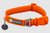Front Range Dog Collar