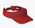 RPDVisor