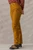 Women's Flex Canvas Pant V3