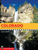100 Classic Hikes In Colorado