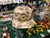 The Mountaineer Fly Fishing Gramps Cap