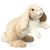 Floppy Bunny Rabbit