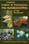 Common Edible & Poisonous Mushrooms Of The Northeast - Softcover