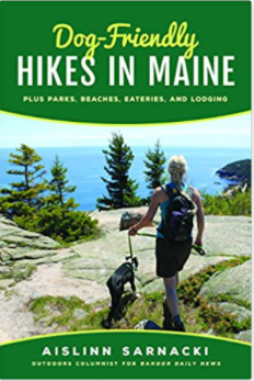 Dog-Friendly Hikes In Maine 