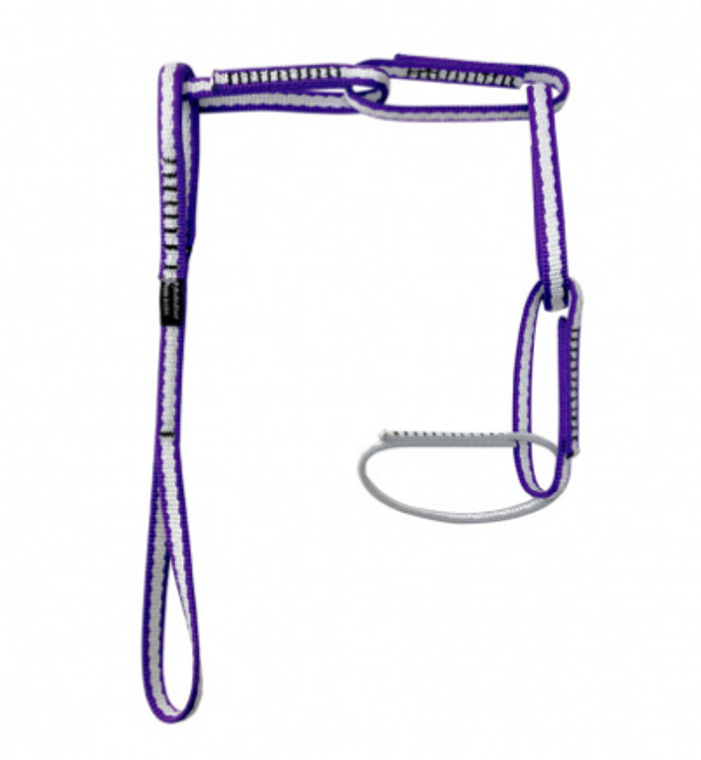 Alpine PAS Purple Silver