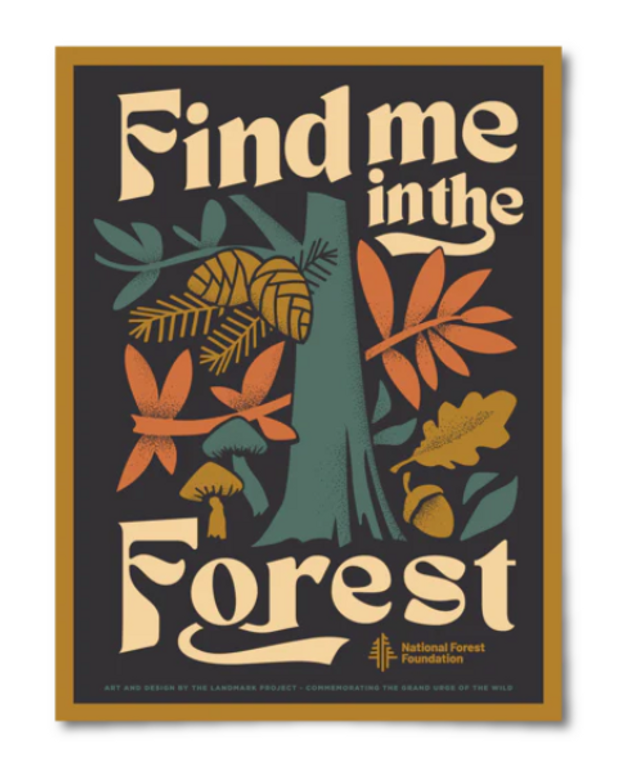 Find Me in the Forest Poster 12x16