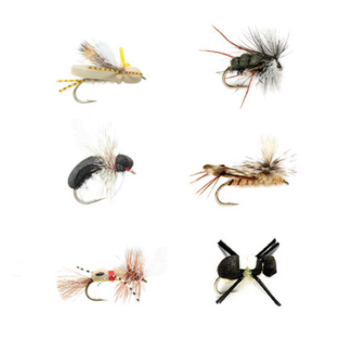 Terrestrial Selection