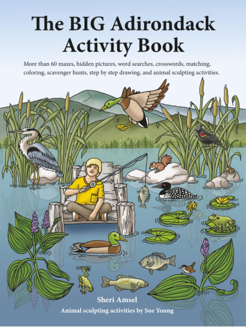 The BIG Adirondack Activity Book
