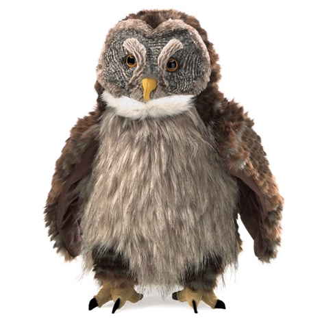 Hooting Owl