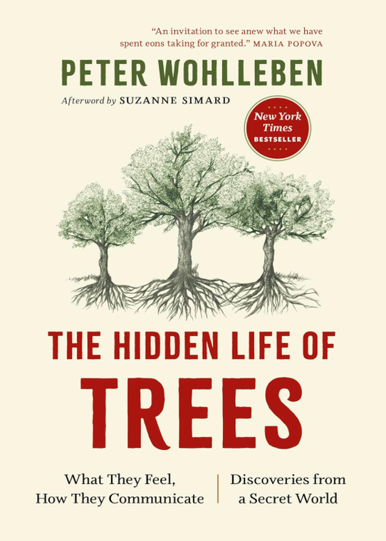 The Hidden Life Of Trees