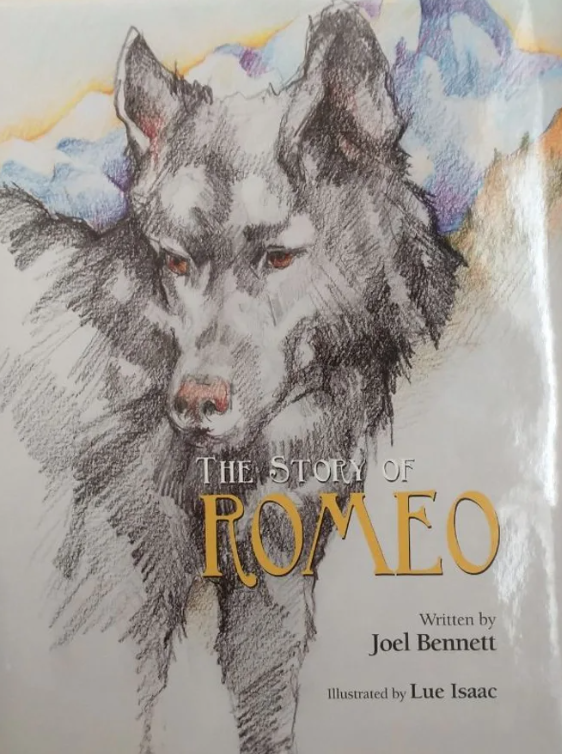 The Story Of Romeo