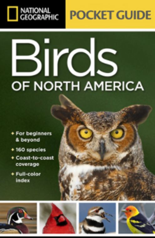 Birds Of North America 