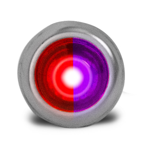 3 LED 3/4″ DUAL COLOR MINI LIGHT – RED & PURPLE/CLEAR LENS